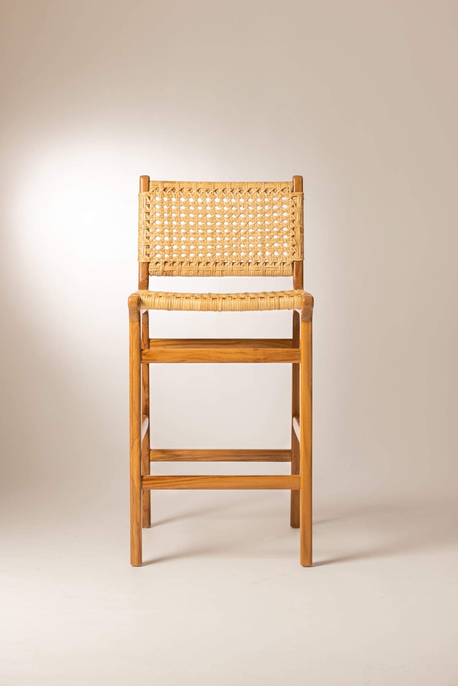 Albin Stool Palm